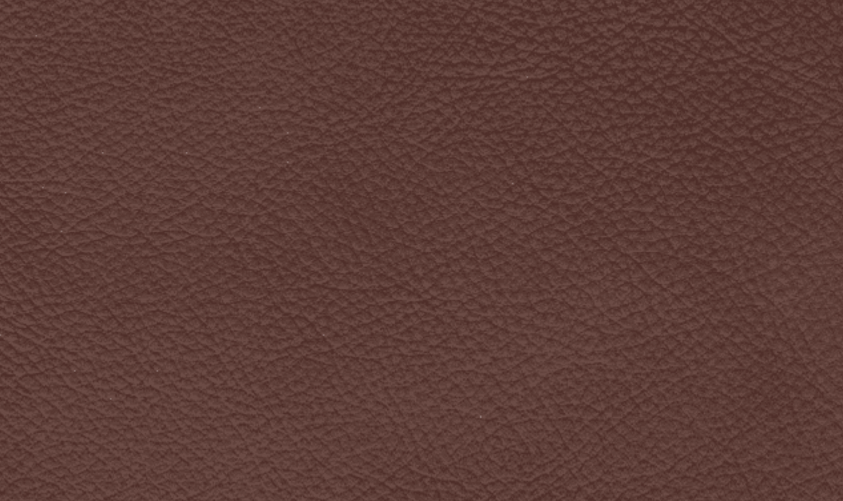 3-Seater Leather Sofa in Pecan Brown with Clean Lines
