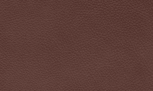 3-Seater Leather Sofa in Pecan Brown with Clean Lines