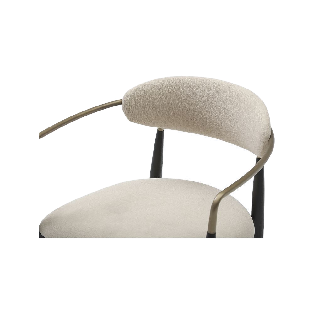 Dining Chair Black with Curved Backrest
