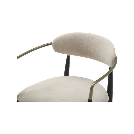 Dining Chair Black with Curved Backrest