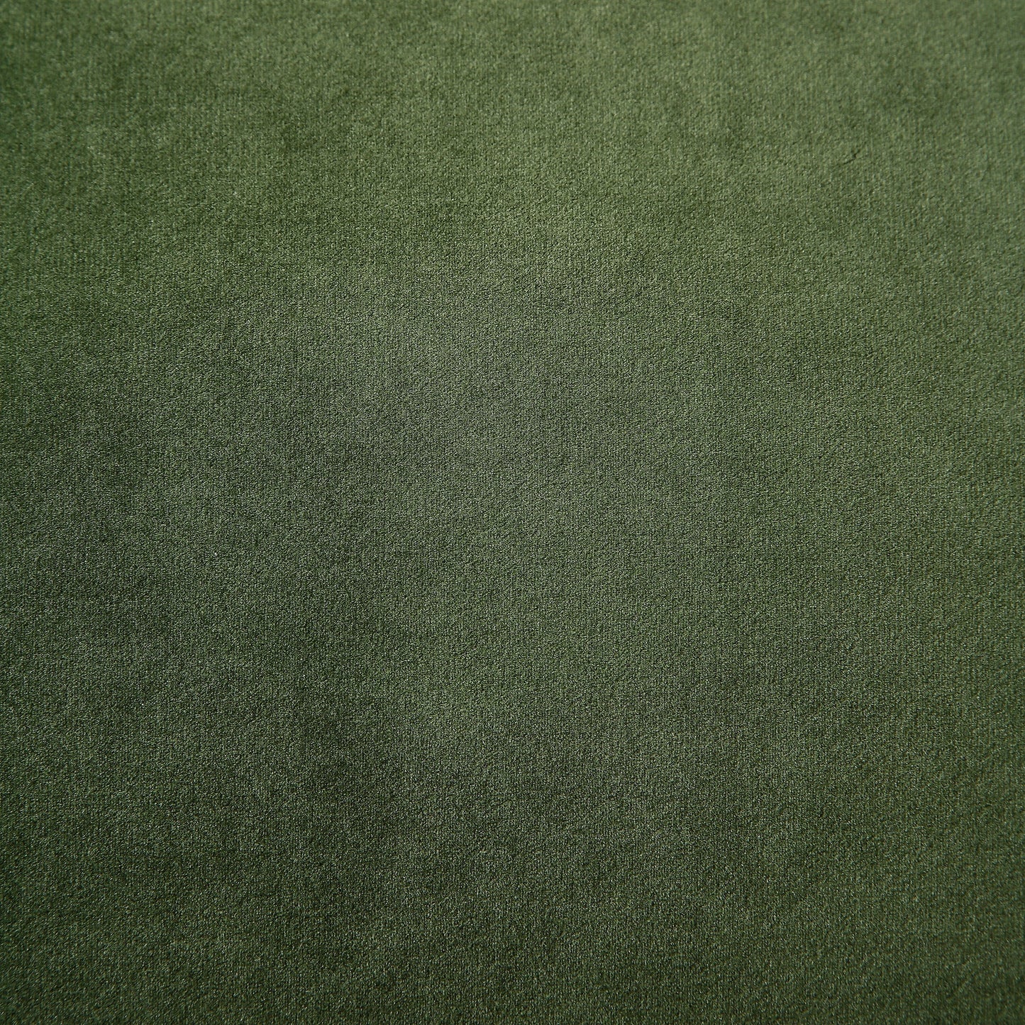 Fern Green Velvet 2-Seater Sofa with Sleek Lines