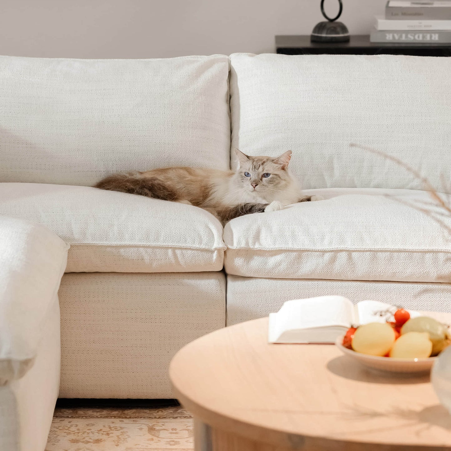Modular Sofa in Feather Fabric with 4-Piece Design