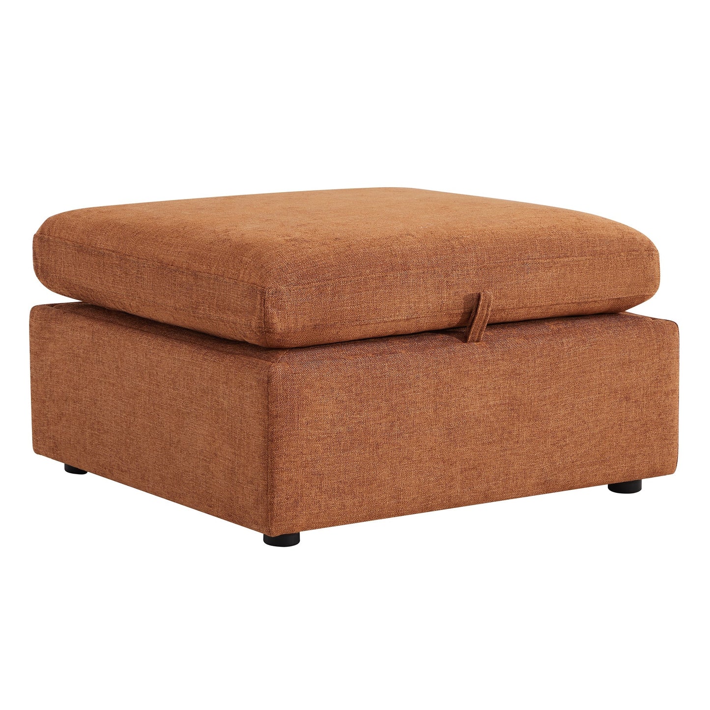 Storage Ottoman with Tufted Top Design
