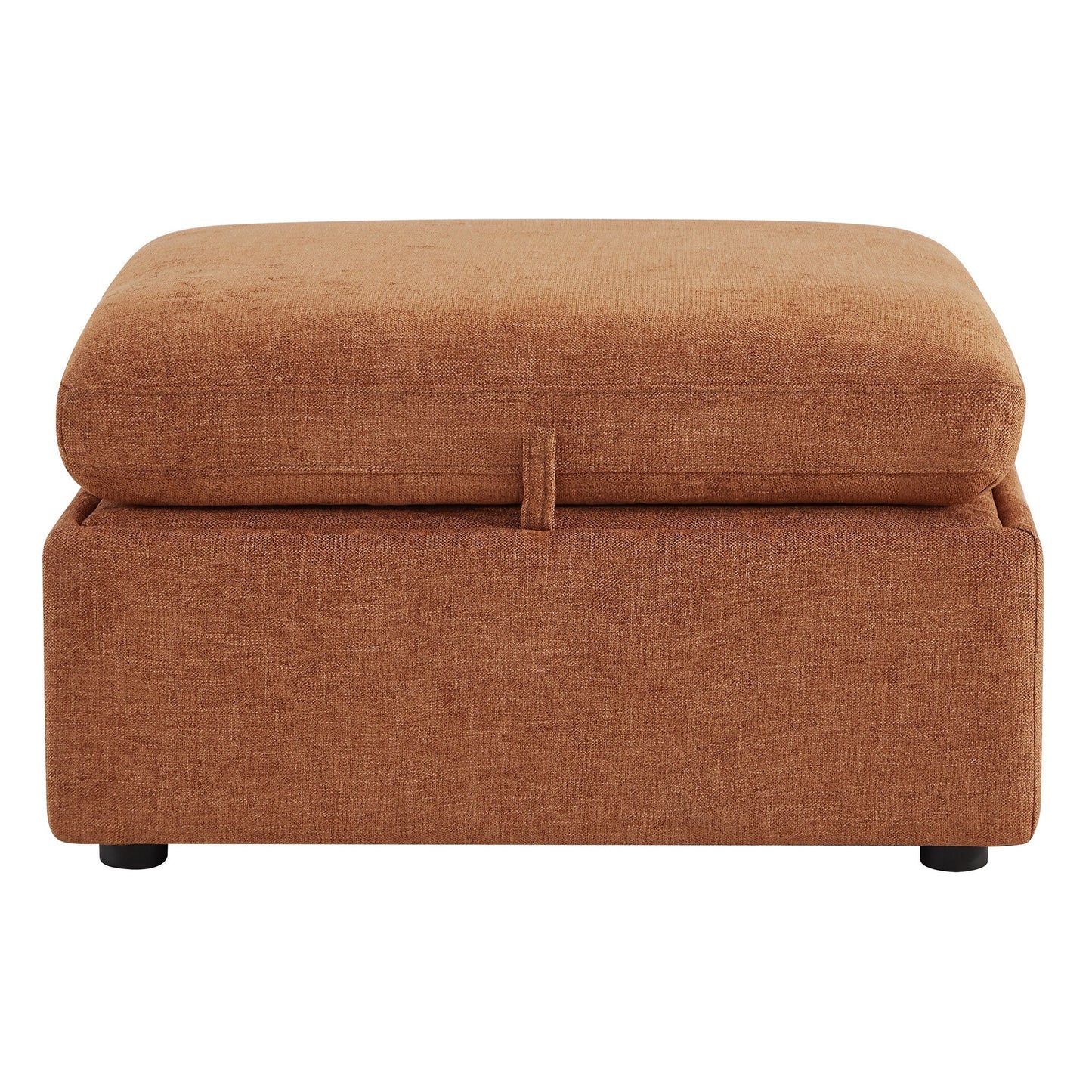 Storage Ottoman with Tufted Top Design