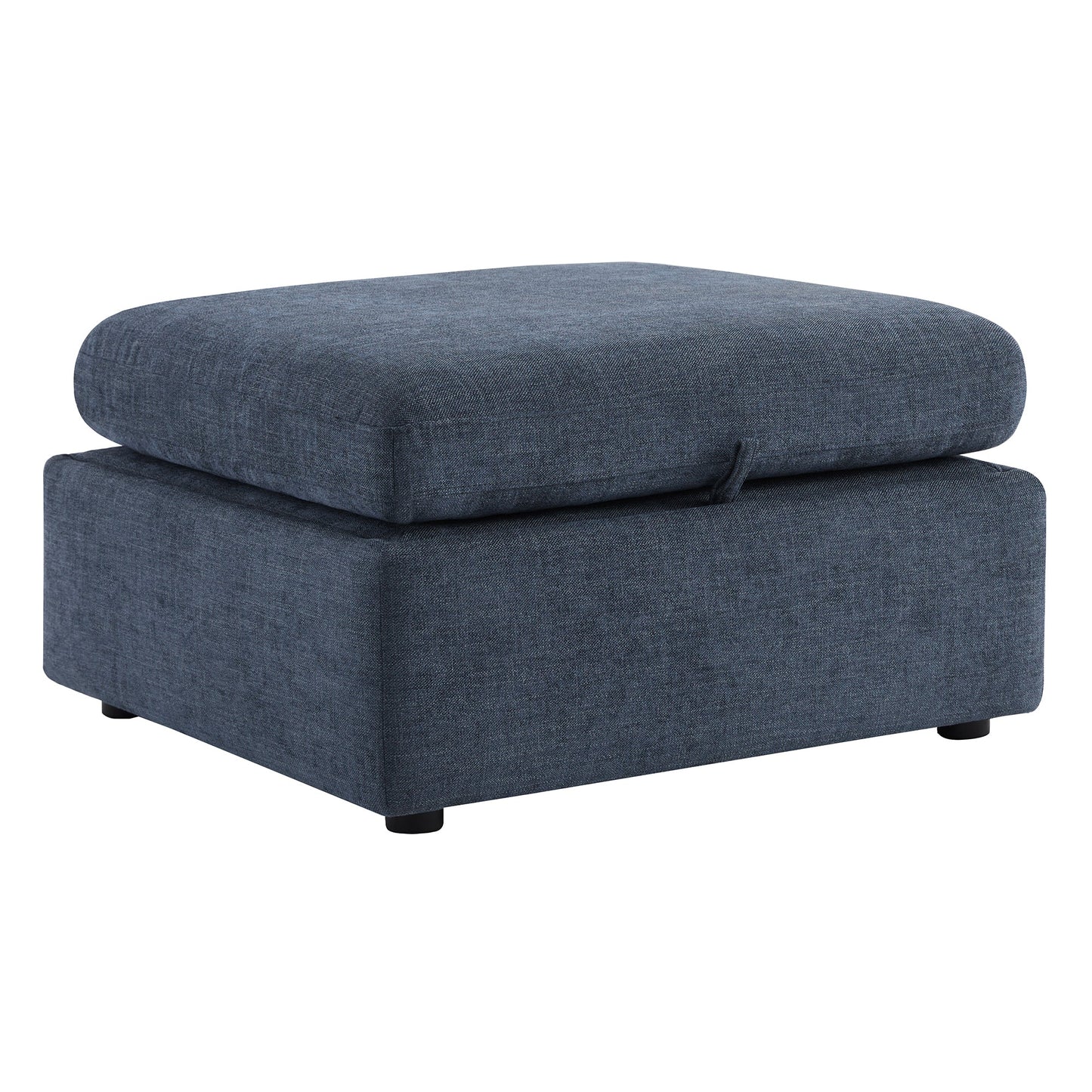 Storage Ottoman with Tufted Top Design