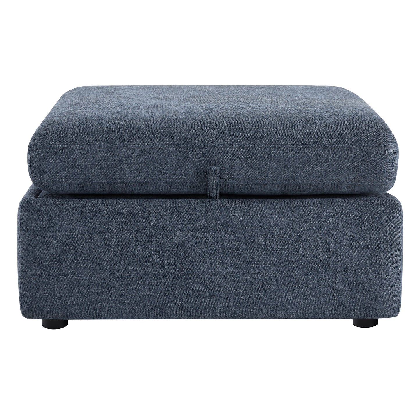 Storage Ottoman with Tufted Top Design